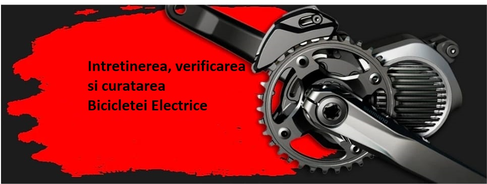 intretinere biciclete electrice