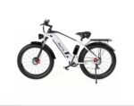 Bicicleta electrica DUOTTS F26 - 750W x 2 motoare Culoare - Gri - imagine 3