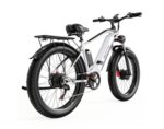 Bicicleta electrica DUOTTS F26 - 750W x 2 motoare Culoare - Gri - imagine 5