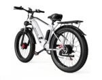 Bicicleta electrica DUOTTS F26 - 750W x 2 motoare Culoare - Gri - imagine 7