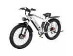 Bicicleta electrica DUOTTS F26 - 750W x 2 motoare Culoare - Gri - imagine 8